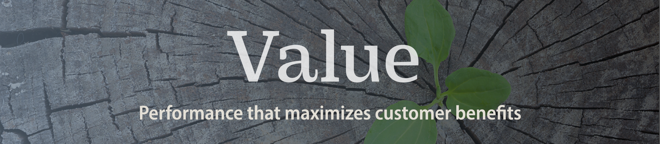 Value banner: performance that maximizes customer benefits